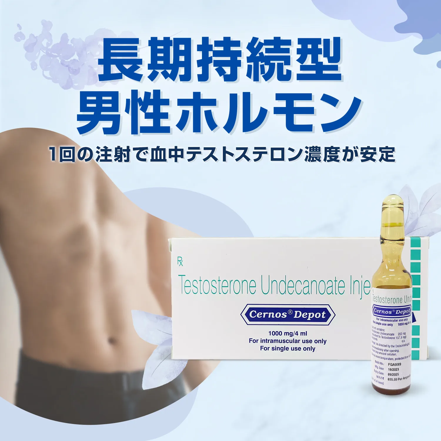 セルノスジェル 5g 14入　テストステロン　ボディメイク　ホルモン セルノスジェル 5g 14入 テストステロン ボディメイク ホルモン
