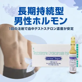 セルノスデポ・テストステロン1000mg（ネビドジェネリック）通販