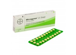 マイクロジノン21