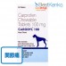 カロダイル100mg60錠 カロダイル100mg60錠