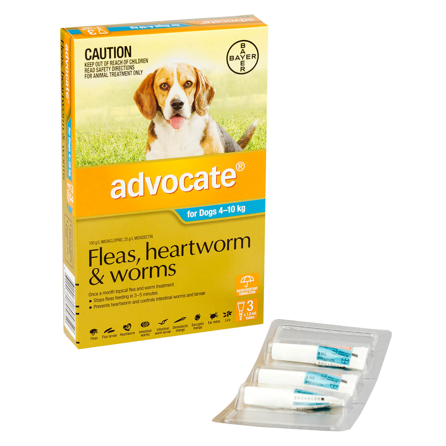 アドボケート小型犬用通販 フィラリア ノミダニ予防 ペットの薬 効果 口コミ 副作用 ベストケンコー
